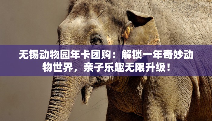 无锡动物园年卡团购:解锁一年奇妙动物世界,亲子乐趣无限升级! 无锡动物园年卡团购:解锁一年奇妙动物世界,亲子乐趣无限升级!