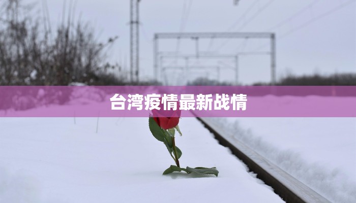 台湾疫情最新战情