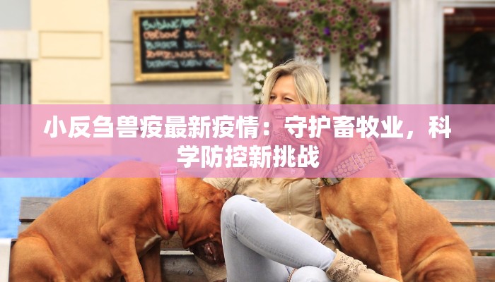 驻马店火锅优惠团购群：辣享热浪，聚惠无限