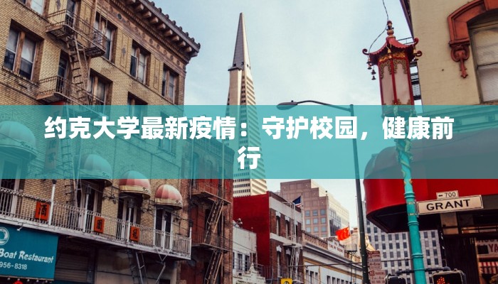 崔家庙最新疫情情况