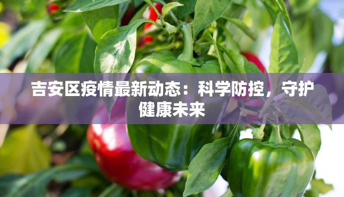吉安区疫情最新动态：科学防控，守护健康未来