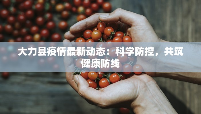 大力县疫情最新动态：科学防控，共筑健康防线
