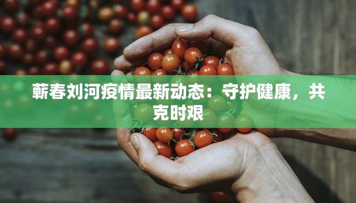 蕲春刘河疫情最新动态：守护健康，共克时艰