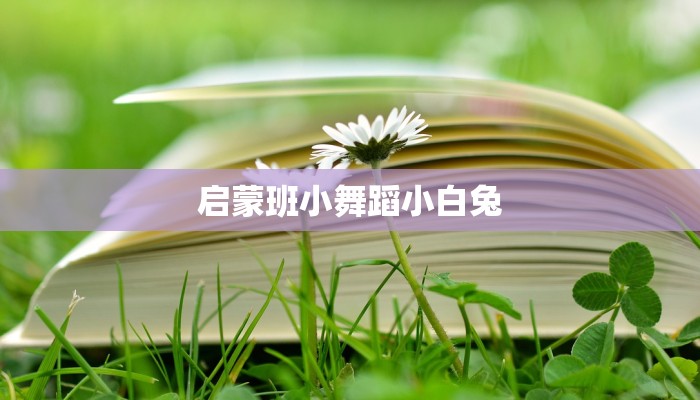 启蒙班小舞蹈小白兔