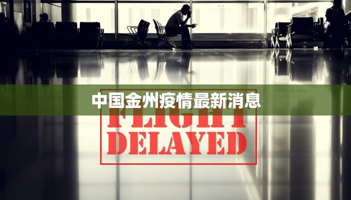 最新甘肃礼县疫情情况：科学防控，守护健康家园