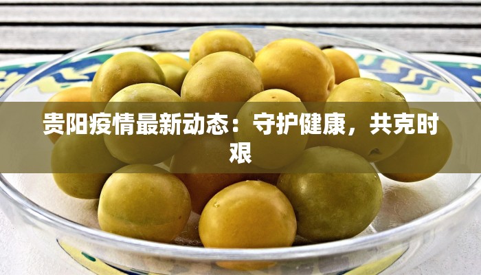 贵阳疫情最新动态:守护健康,共克时艰 贵阳疫情最新动态:守护健康,共克时艰