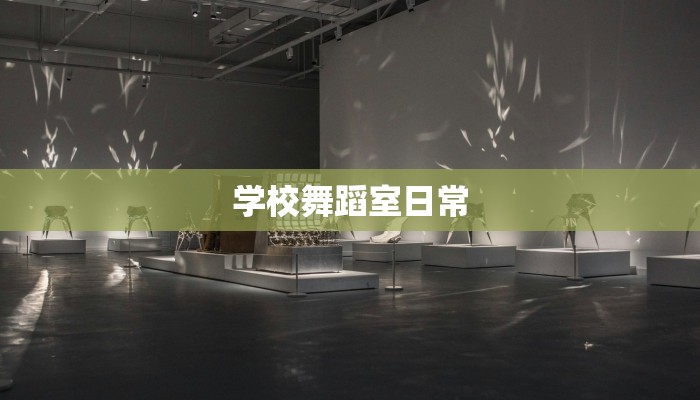 学校舞蹈室日常