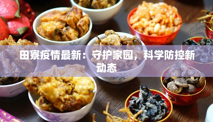 田寮疫情最新：守护家园，科学防控新动态