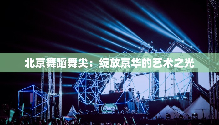 北京舞蹈舞尖：绽放京华的艺术之光
