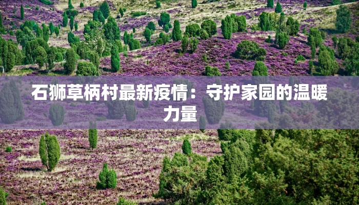 石狮草柄村最新疫情：守护家园的温暖力量