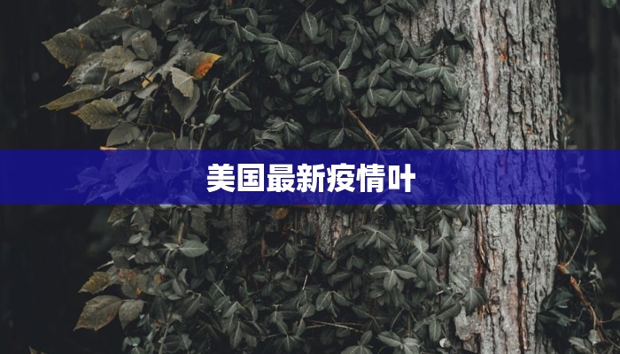 美国最新疫情叶 美国最新疫情叶