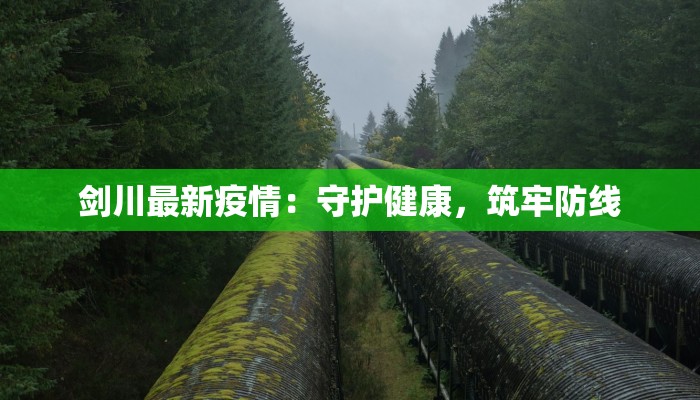 疫情最新封路通告