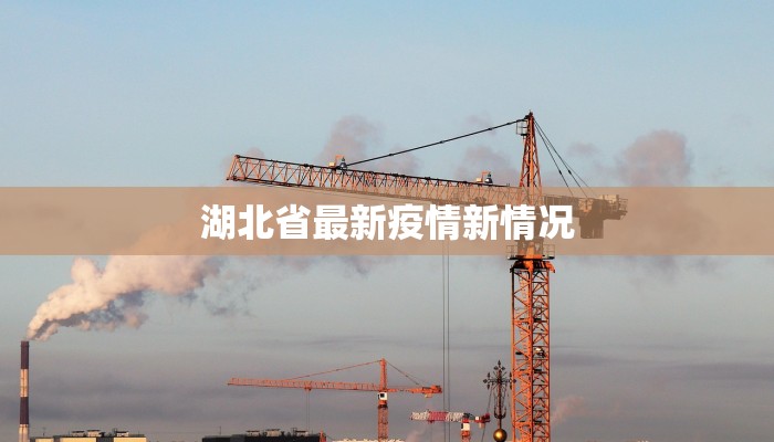 湖北省最新疫情新情况