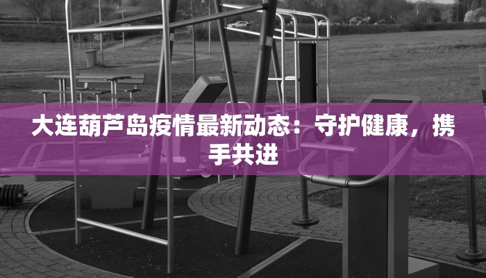 大连葫芦岛疫情最新动态：守护健康，携手共进